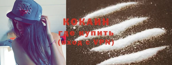 сатива Карталы