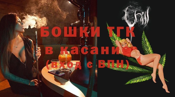 хмурый Касимов