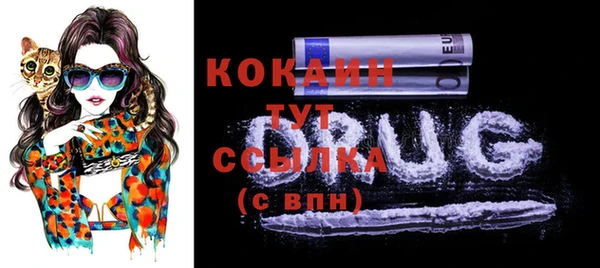 сатива Карталы